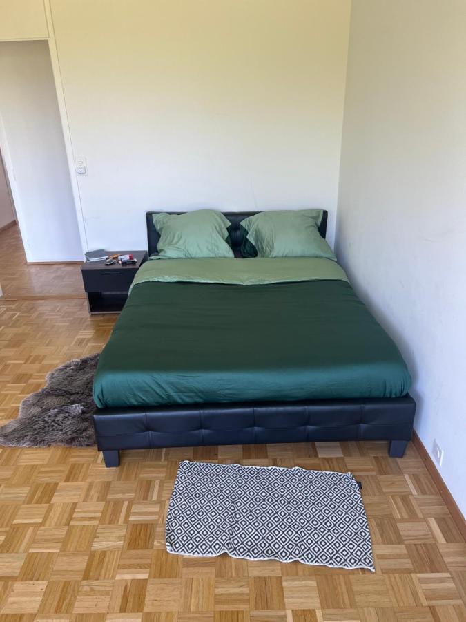 La Marina Appart Appartement Genève Buitenkant foto